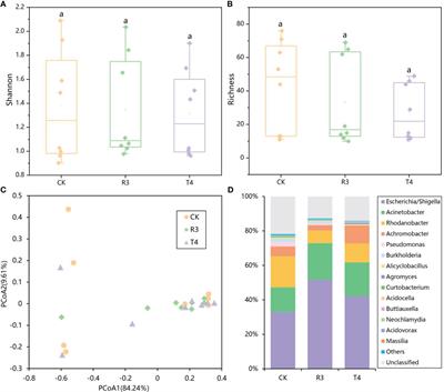 Community-based mechanisms underlying the root cadmium uptake regulated by Cd-tolerant strains in rice (Oryza sativa. L)